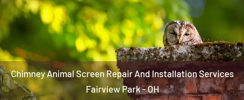Chimney Animal Screen Repair And Installation Services Fairview Park - OH