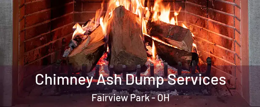 Chimney Ash Dump Services Fairview Park - OH
