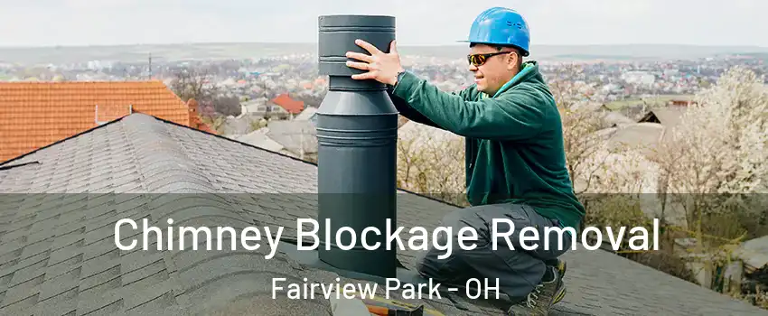 Chimney Blockage Removal Fairview Park - OH