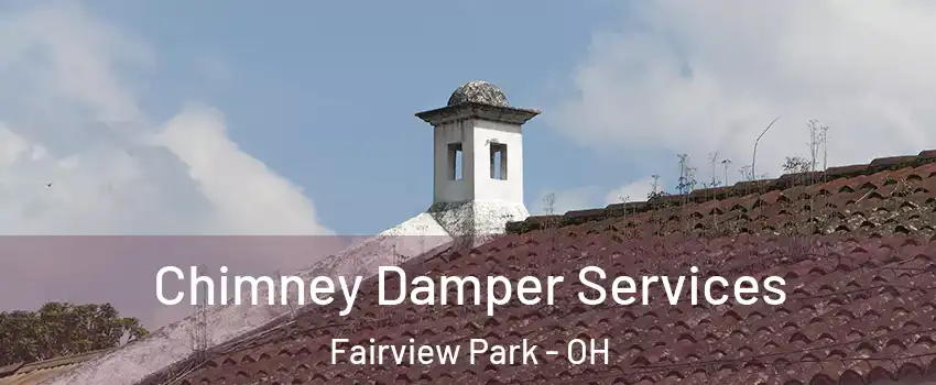Chimney Damper Services Fairview Park - OH