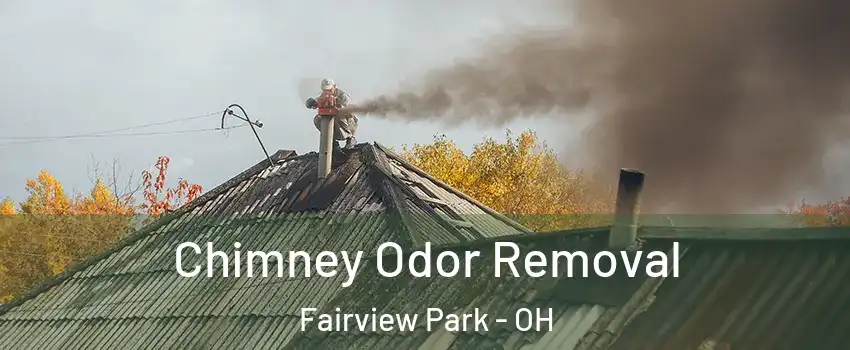  Chimney Odor Removal Fairview Park - OH