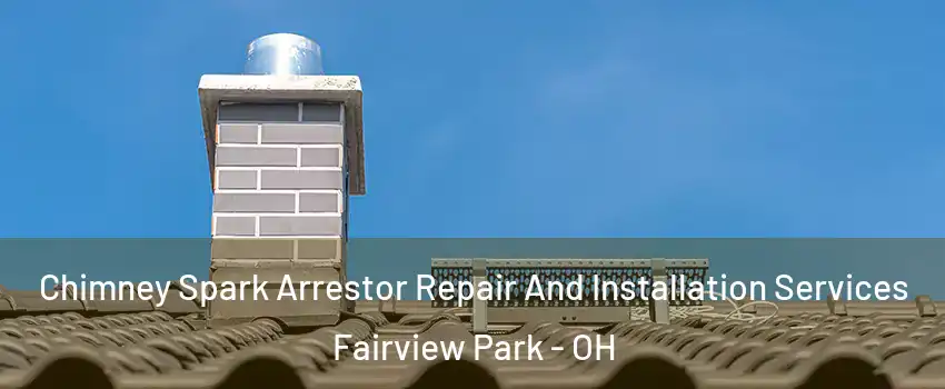 Chimney Spark Arrestor Repair And Installation Services Fairview Park - OH