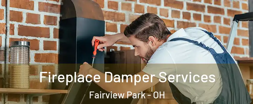  Fireplace Damper Services Fairview Park - OH