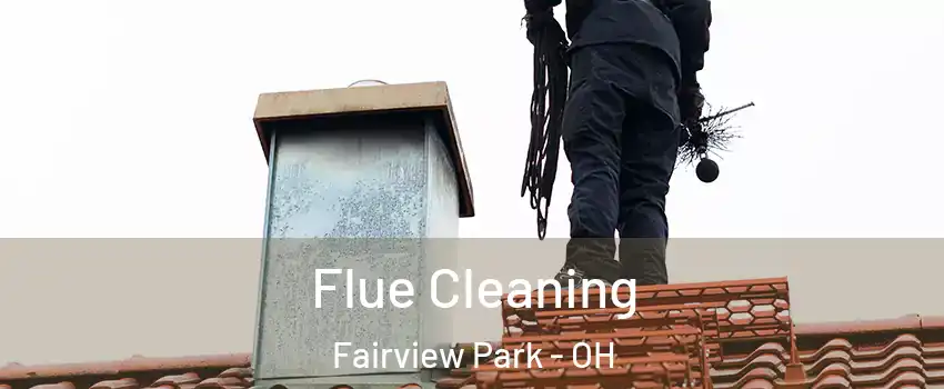Flue Cleaning Fairview Park - OH